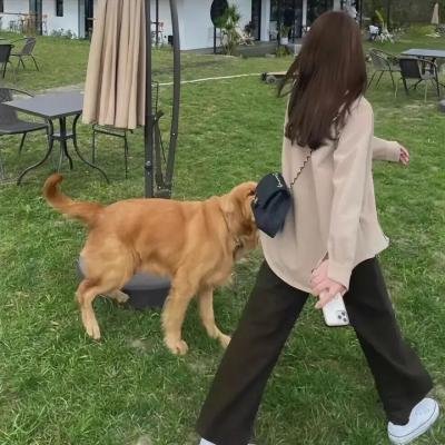 魔法少女伊莉雅第一季